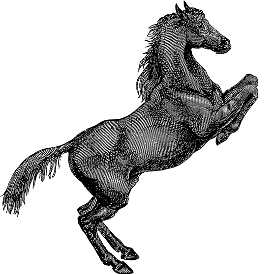 斗球